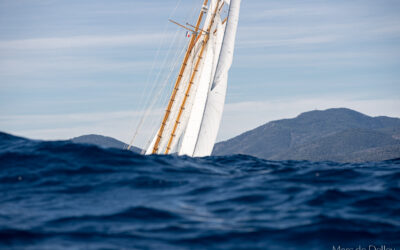 SailGP & Les Voiles de Saint-Tropez : où séjourner pour vivre la magie des régates