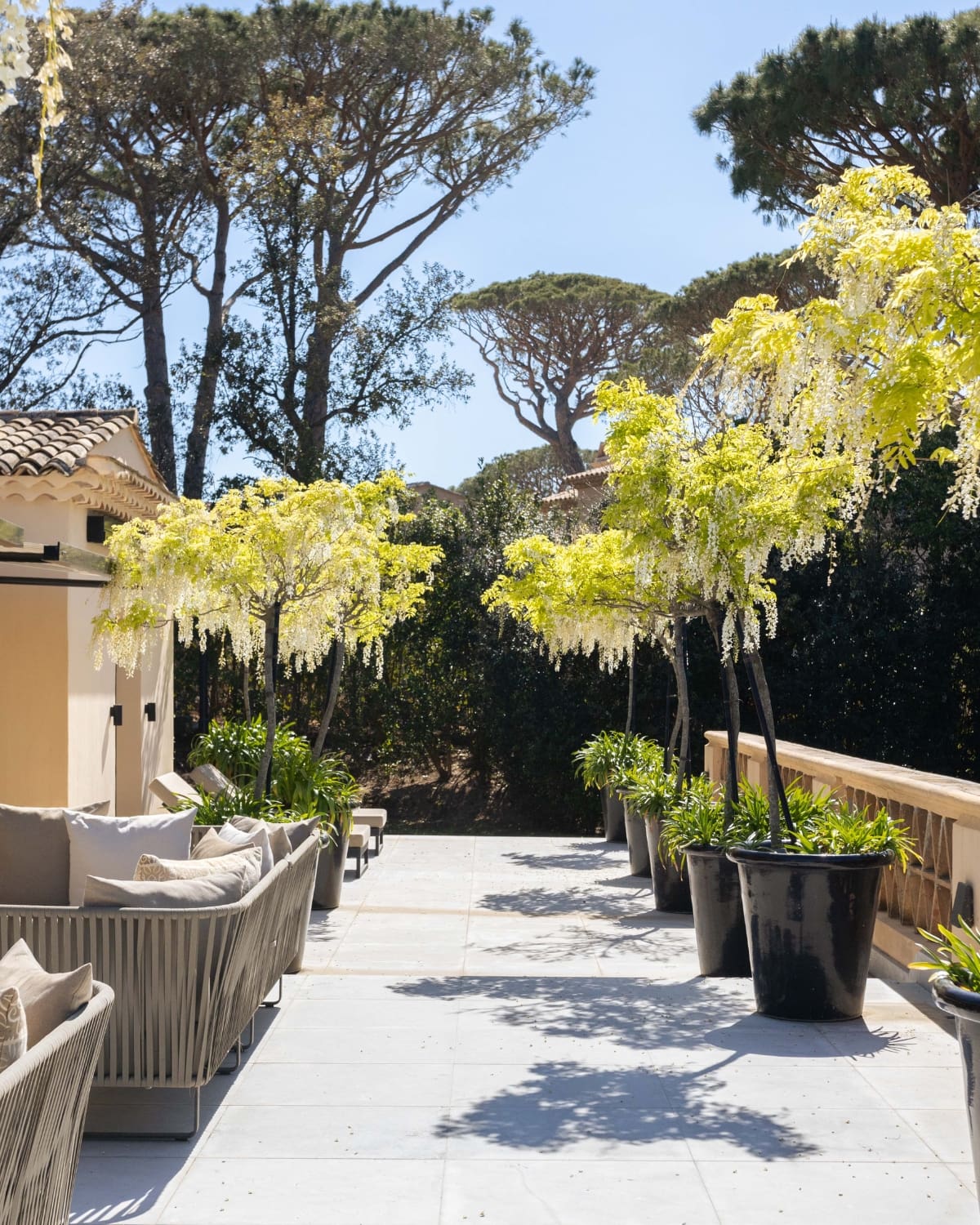 villa-les-gemeaux-les-parcs-de-saint-tropez-garden